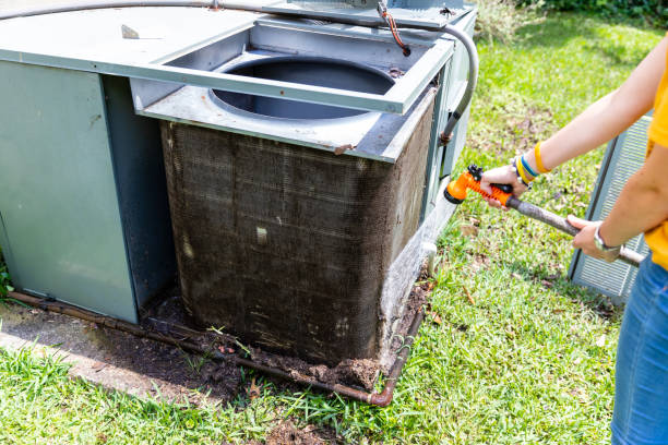 Best Affordable Duct Cleaning Services  in Ravenna, MI