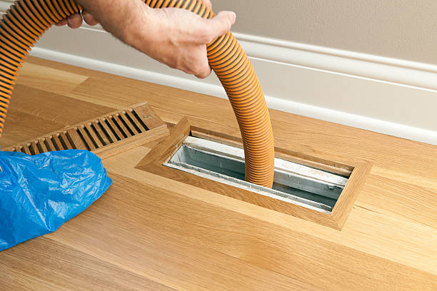 Best Professional Duct Cleaning Services  in Ravenna, MI