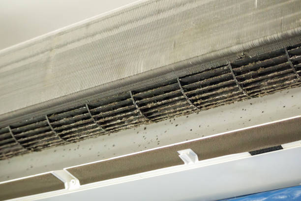 Best Professional Duct Cleaning Services  in Ravenna, MI