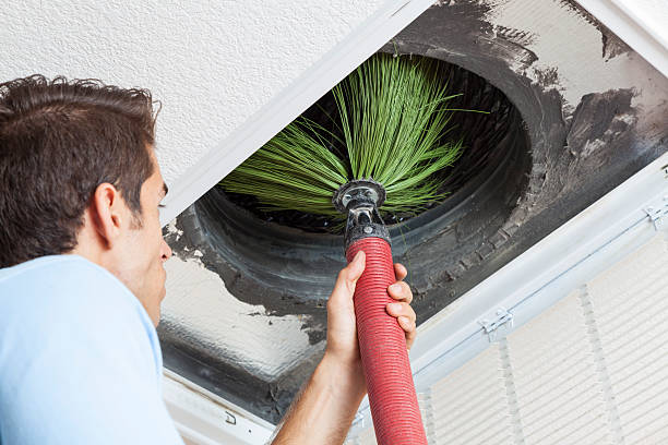 Best Home Air Vent Cleaning  in Ravenna, MI