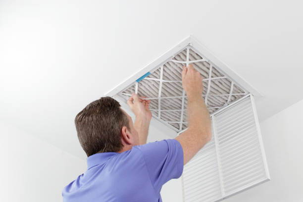 Best Air Duct Cleaning Near Me  in Ravenna, MI